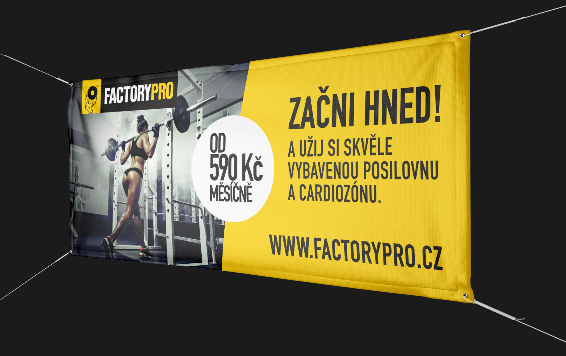 FACTORY PRO
