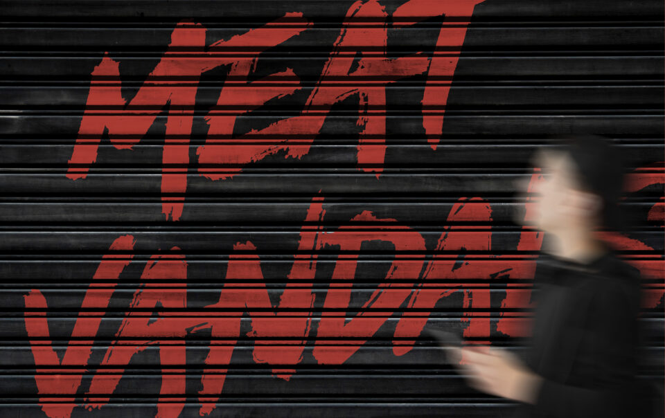 MEATVANDALS